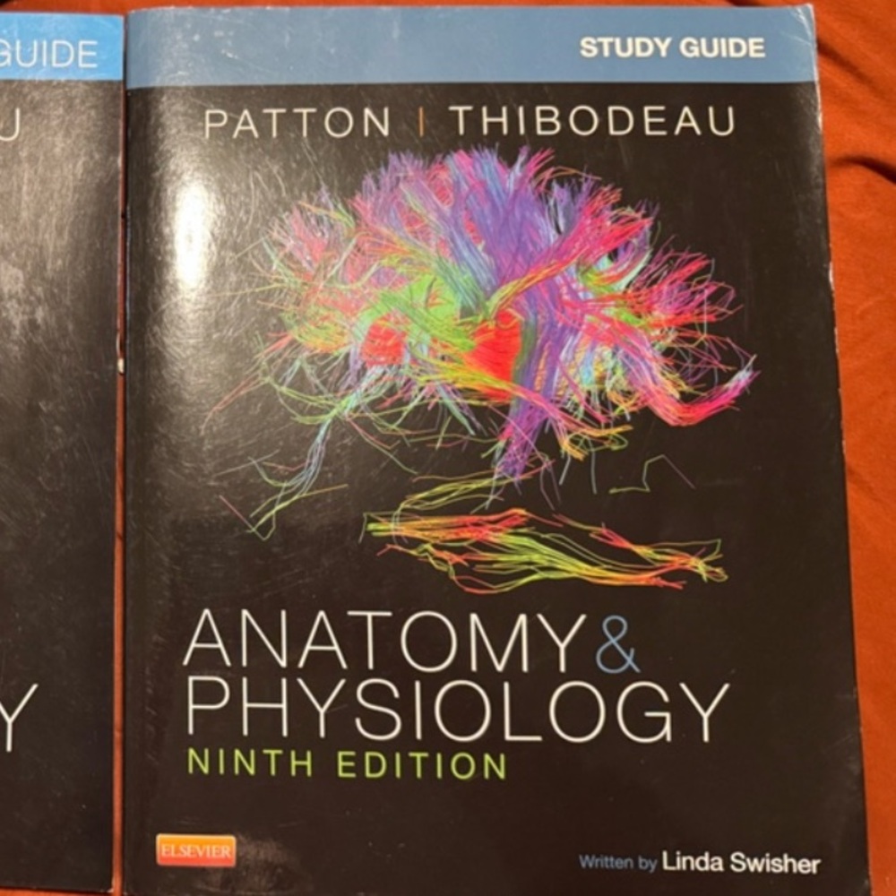 Anatomy & Physiology Ninth Edition Study Guide Set